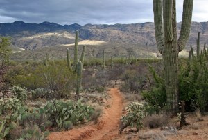 Tucson trail E